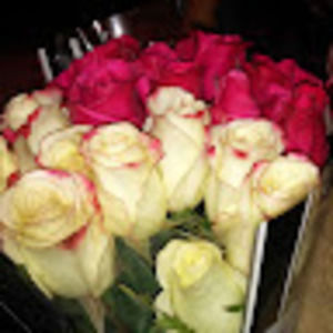 Meet your Posher, Leonor